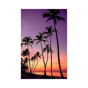 Meet your Posher, Viviana